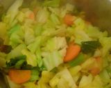 キクコの野菜スープ作り方4写真