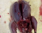 ムクドリの唐揚げ(ジビエ)作り方1写真