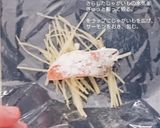 カリカリが止まらない。鮭と芋のカリカリ作り方5写真
