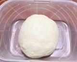 【発酵種】ヨーグルト種ベーコンエピ作り方9写真