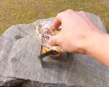 牡蠣の貝殻で作る牡蠣のごはん作り方7写真