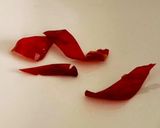 大量消費　ぱりぱりきゅうり作り方4写真
