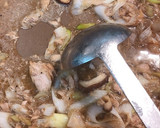 旨みたっぷり和風パスタ作り方4写真