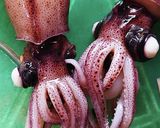 ホタルイカの処理作り方3写真