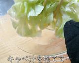 粒マスタード好き必見!『キャベツの副菜』作り方6写真