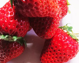 生のイチゴでとろける甘さのイチゴムース作り方1写真