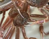 やっぱり冬はカニスキ作り方1写真