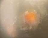 とろろカレーライス　長芋カレーライス作り方3写真