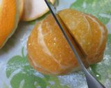 白菜（キャベツ）と鯖缶と柑橘のサラダ作り方14写真