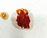 干し柿のバター巻き♥*:・°作り方1写真