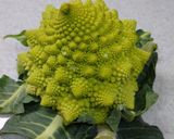 ロマネスコと鮭のニンニク蒸し作り方1写真