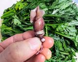 ホタルイカと春菊の春の風香る和風パスタ作り方2写真