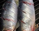 生ニシンの塩焼き。重曹で手早く臭い消し！作り方1写真