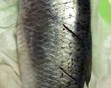 生ニシンの塩焼き。重曹で手早く臭い消し！作り方6写真