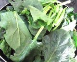 アワビ茸とほうれん草のオリーブオイル炒め作り方3写真