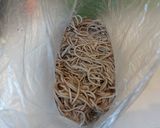 乾麺そばで★そば飯おにぎり作り方2写真