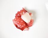 【レンコンとタコの梅肉和え】作り方1写真