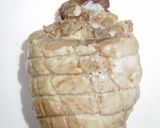 元ステーキ職人の電子レンジだけで煮豚作り方16写真