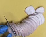 発酵フードメーカーで☆鶏ハム/塩味作り方18写真
