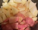失敗したくない日の３種の早炊煮りんご作り方5写真