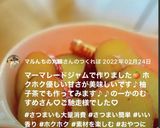 #お弁当 さつまいもの柚子茶煮作り方5写真