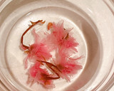 あんずとれんこんの桜漬け作り方3写真