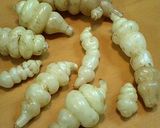 ちょろぎ (長老喜)作り方1写真