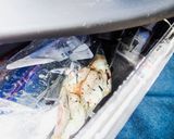 57℃〜砂肝の低温調理火入れ温度比較実験作り方21写真