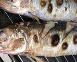生ニシンの塩焼き。重曹で手早く臭い消し！作り方10写真