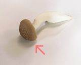 取り分け〜ほうれん草としめじのごま和え〜作り方2写真