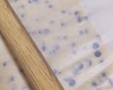 ホロホロ！サクサク♪チョコチップクッキー作り方17写真