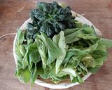 菜の花のシンプル簡単ぽん酢しょうゆあえ作り方4写真