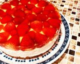 ヨーグルトのレアチーズケーキ作り方15写真