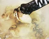 簡単！ぷっくり牡蠣の酒蒸し作り方1写真
