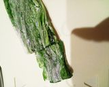 簡単な水菜サラダ作り方4写真