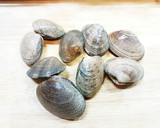 超簡単！あさりとキャベツの酒蒸し！！作り方1写真