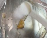 鶏手羽元の白だしグリル焼き作り方2写真