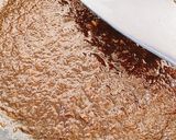 宮のタレ〜ステーキや焼肉に作り方4写真
