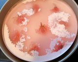 桜のムースケーキ作り方12写真