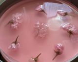 桜のムースケーキ作り方17写真