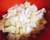 白菜の即席漬け作り方1写真