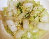 白菜の即席漬け作り方4写真
