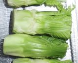 旬の味!蕾菜の中華風ムゲンソルト和え作り方2写真