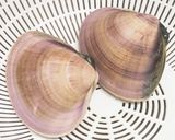 ひな祭りに【蛤のお吸い物】作り方1写真