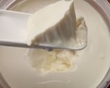 乳酸菌ヘルベとマルサン有機豆乳無調整作り方6写真