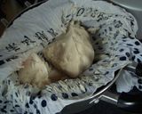 ●白こしあん●作り方10写真