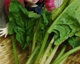 リカちゃん♡ほうれん草プルーン醤油和え作り方1写真