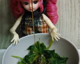 リカちゃん♡ほうれん草プルーン醤油和え作り方13写真
