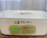 1袋で2度おいしい!ニョキニョキ豆苗^^作り方10写真