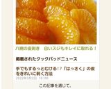 八朔の皮剥き　白いスジもキレイに取れる！作り方6写真